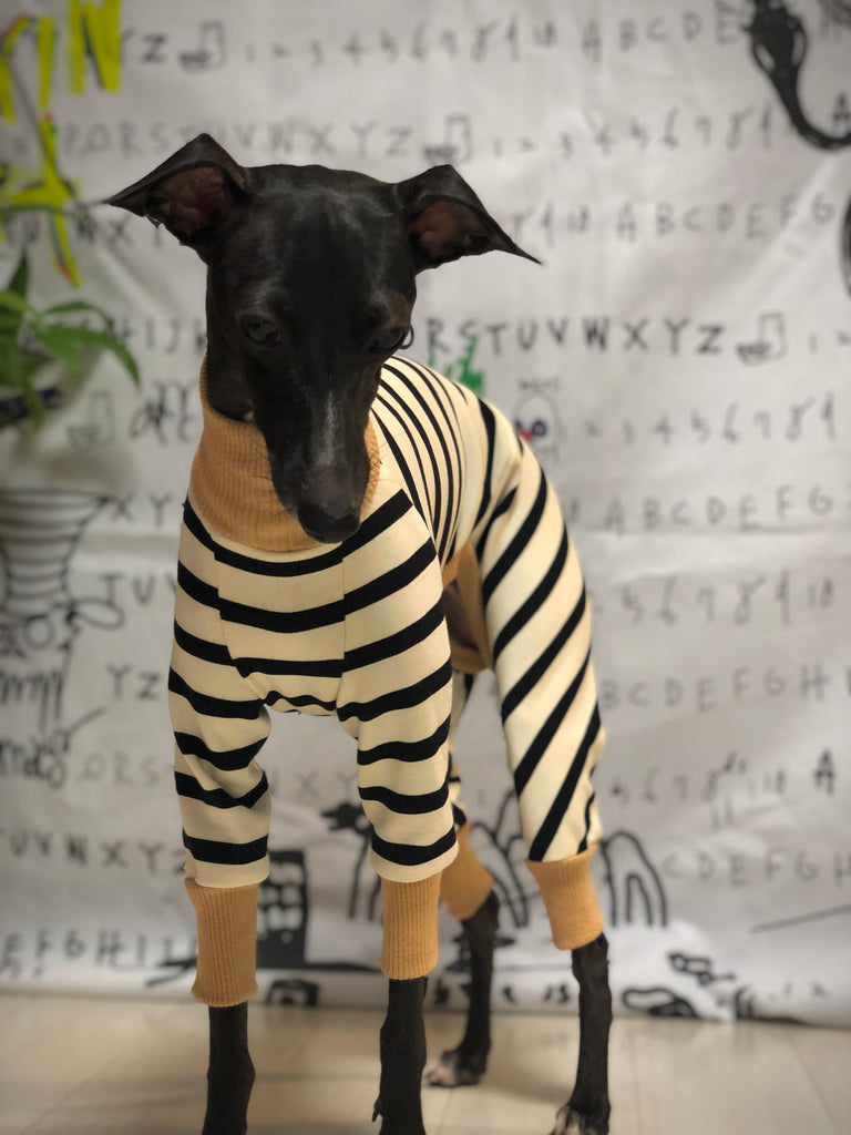 "Paradigm" ROMPERS No.1