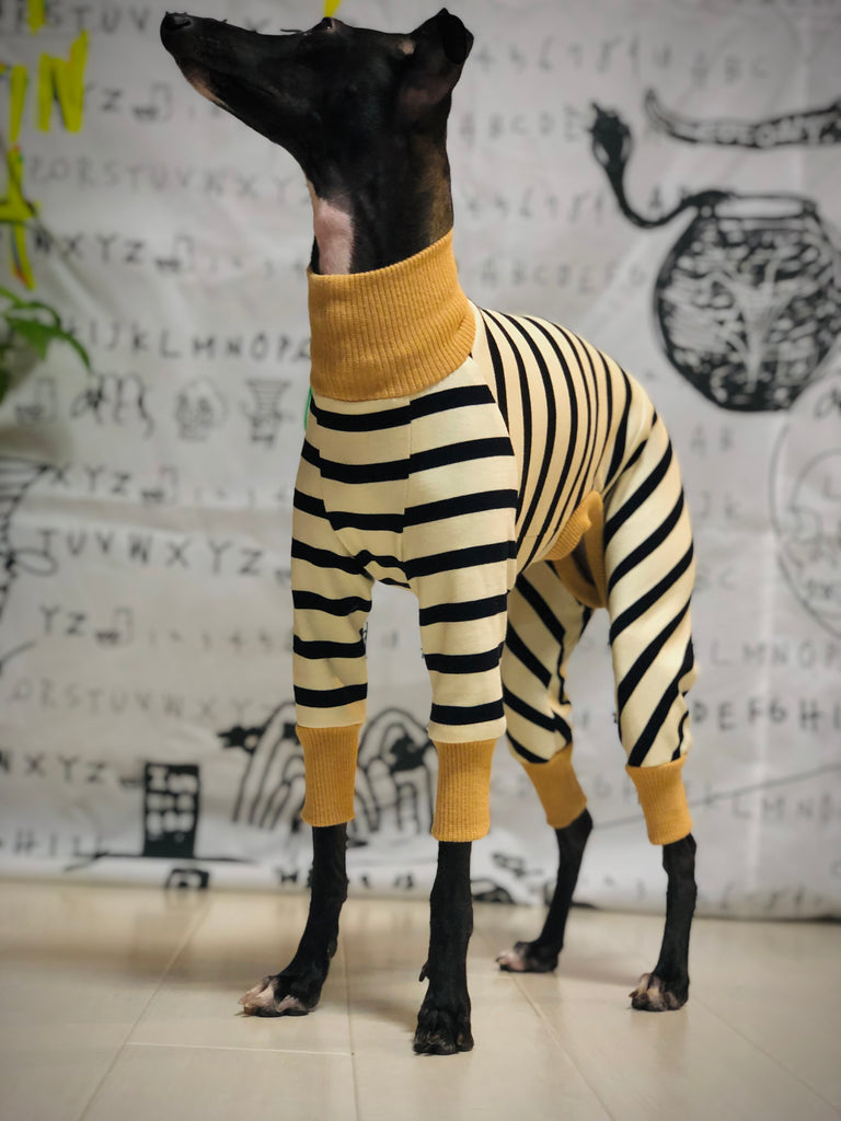 "Paradigm" ROMPERS No.1