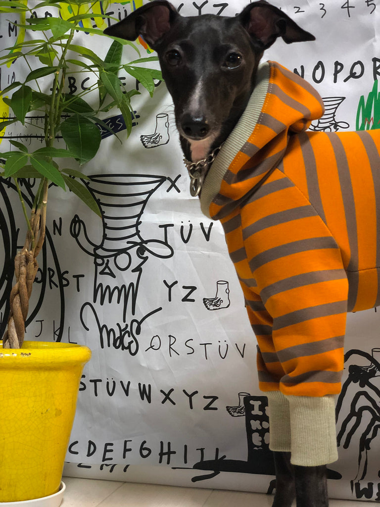 "Paradigm" HOODIE POMPERS No.2