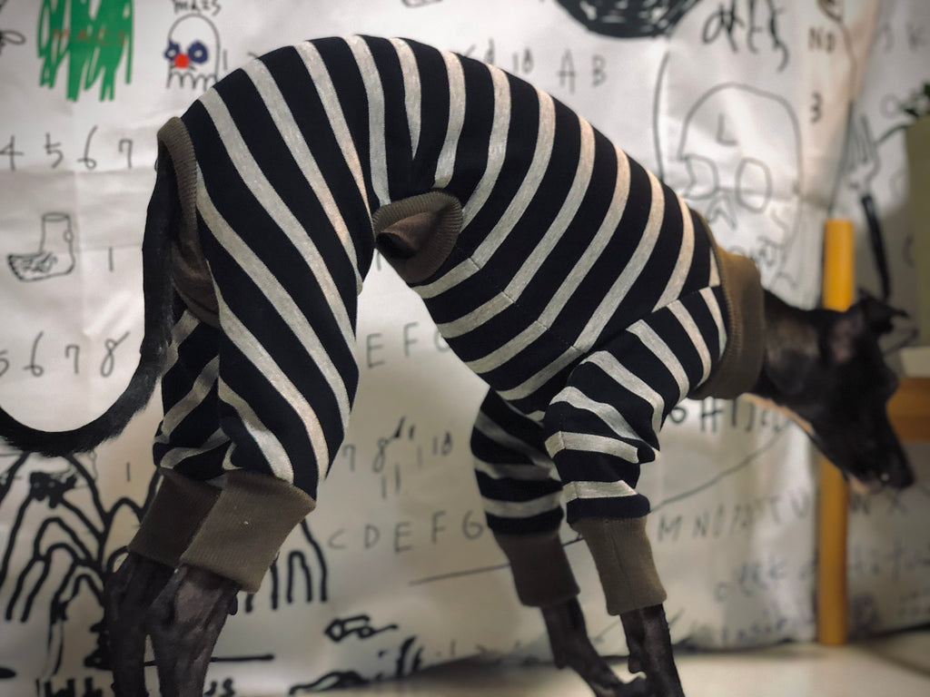 "Paradigm" ROMPERS No.3