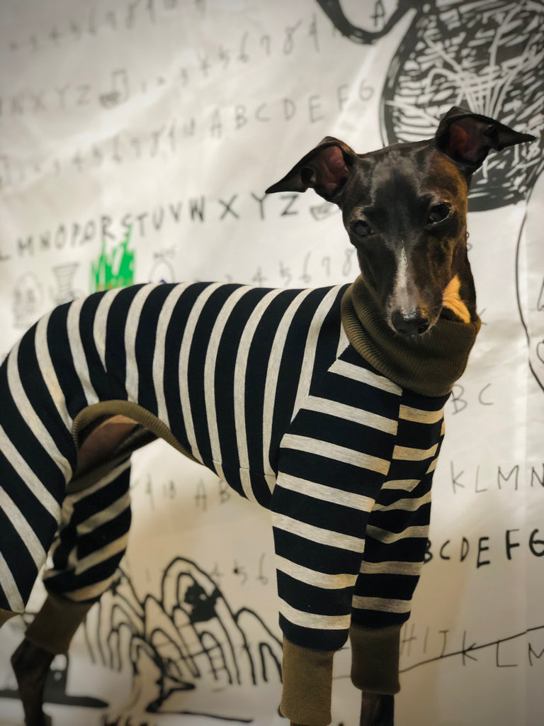 "Paradigm" ROMPERS No.3