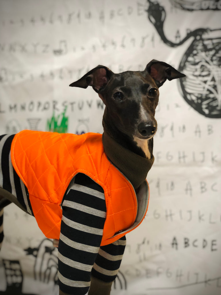 "Paradigm" VEST No.2