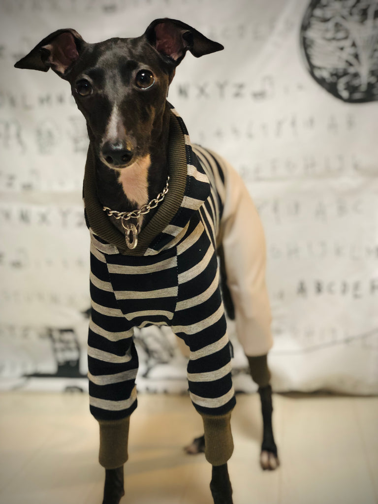 "Paradigm" HOODIE ROMPERS No.3