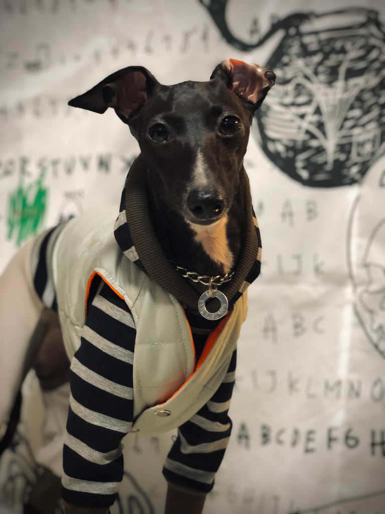 "Paradigm" VEST No.2