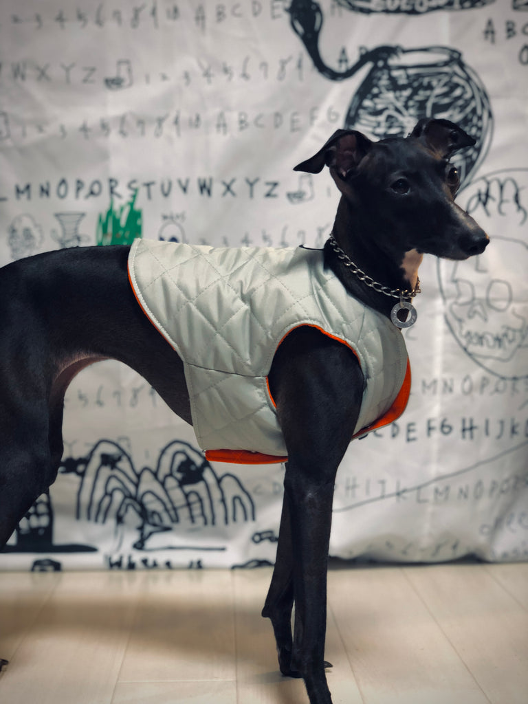 "Paradigm" VEST No.2