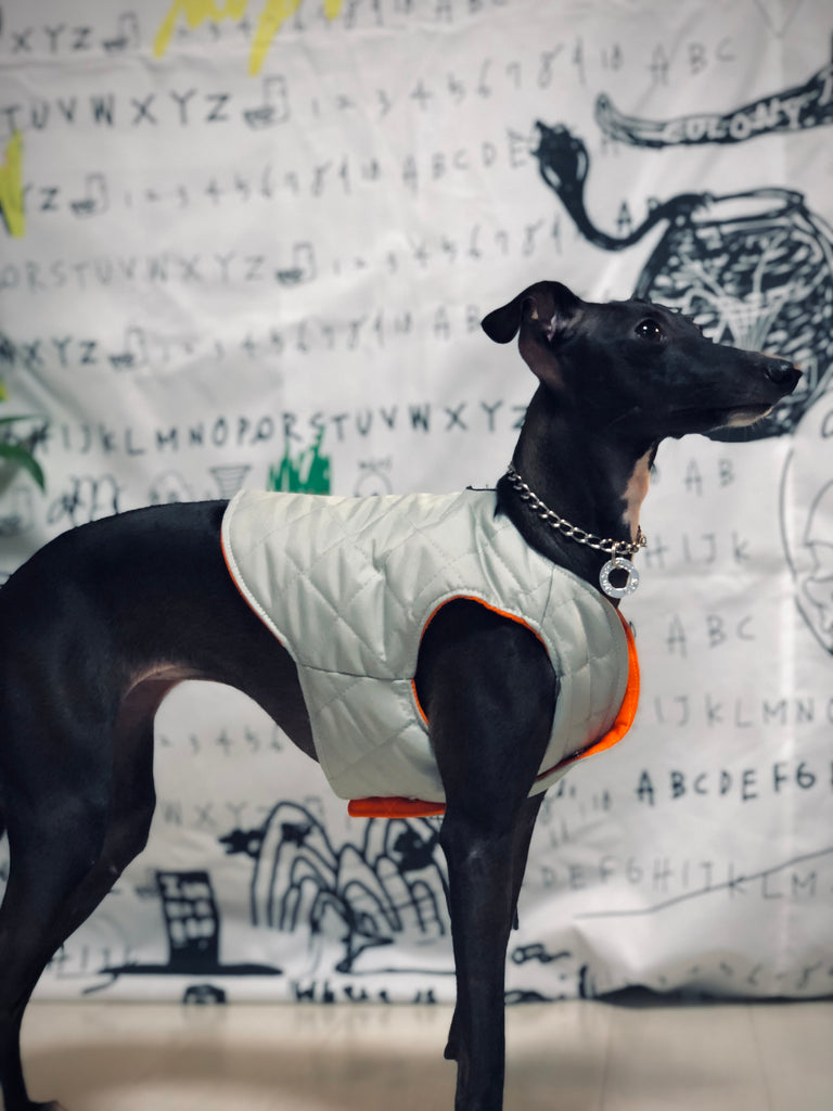 "Paradigm" VEST No.2