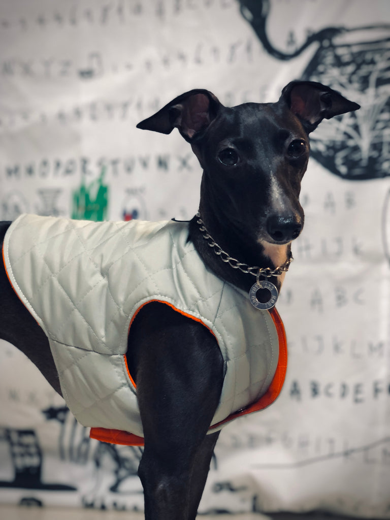 "Paradigm" VEST No.2