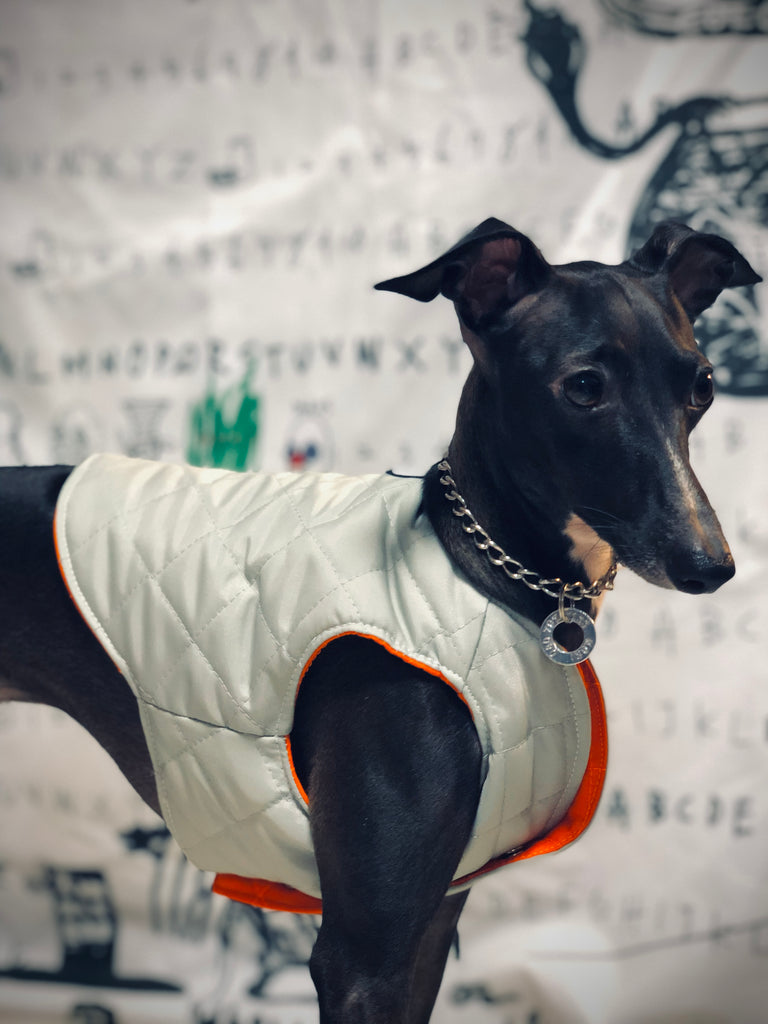 "Paradigm" VEST No.2