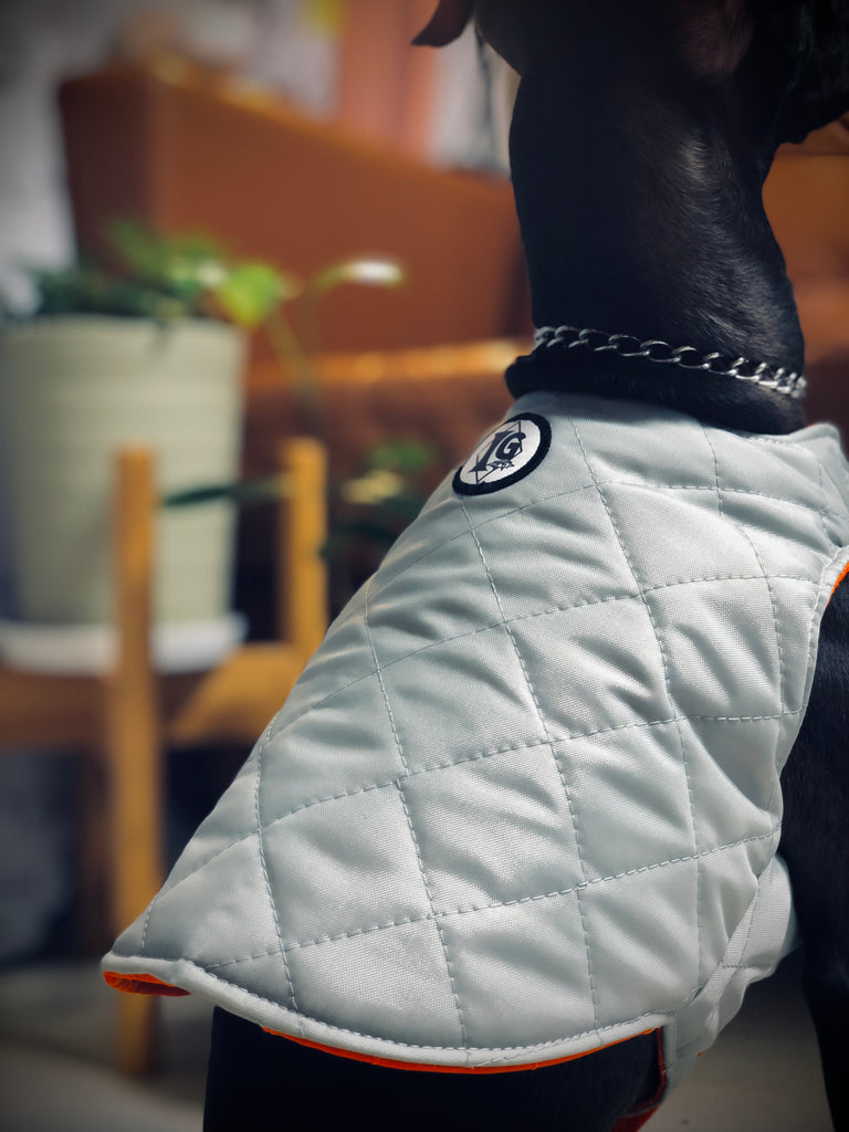 "Paradigm" VEST No.2