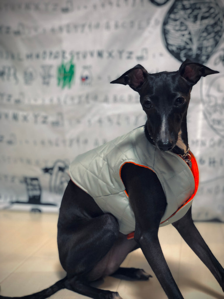 "Paradigm" VEST No.2