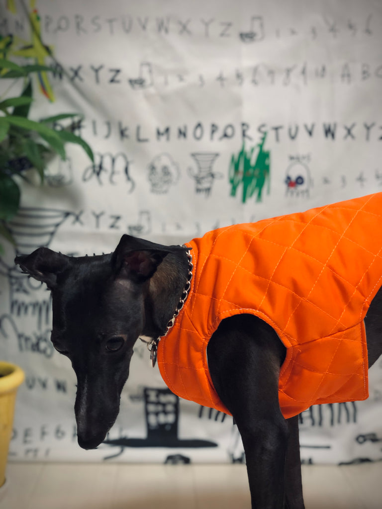 "Paradigm" VEST No.2