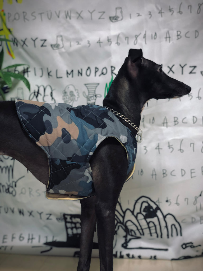 "Paradigm" VEST No.1