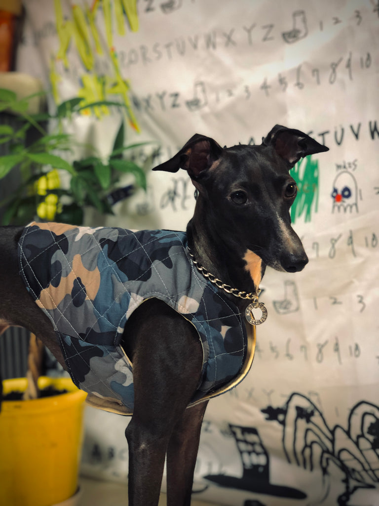 "Paradigm" VEST No.1