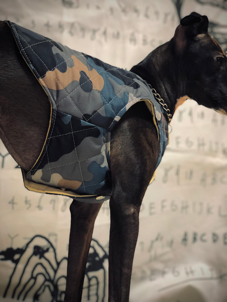 "Paradigm" VEST No.1