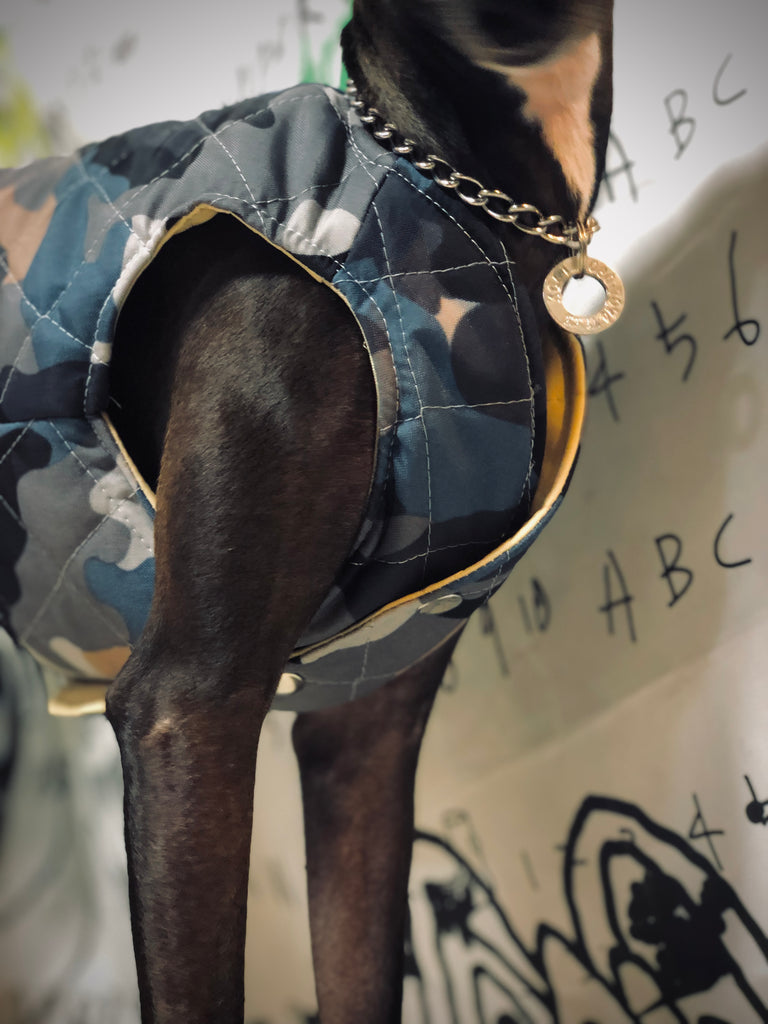 "Paradigm" VEST No.1