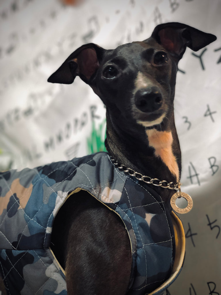 "Paradigm" VEST No.1