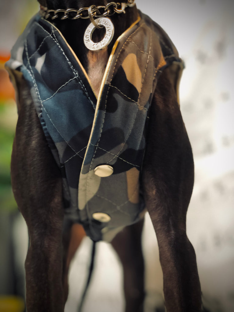 "Paradigm" VEST No.1