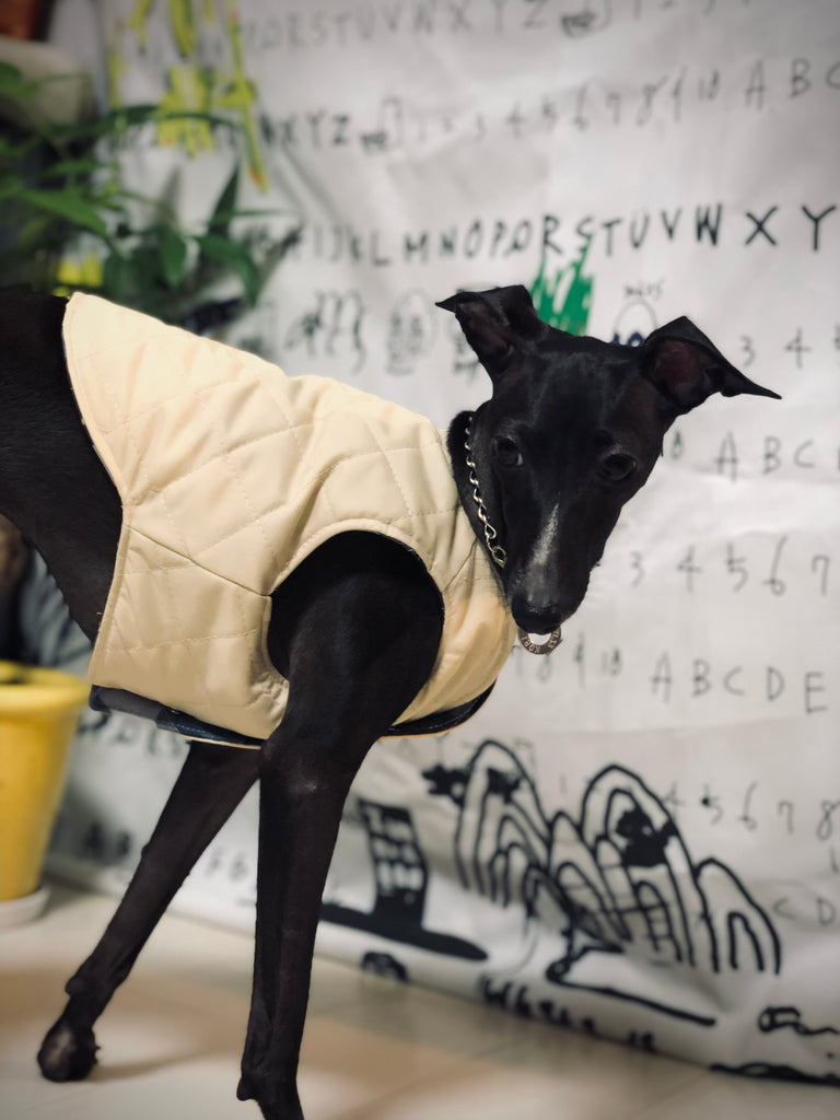 "Paradigm" VEST No.1