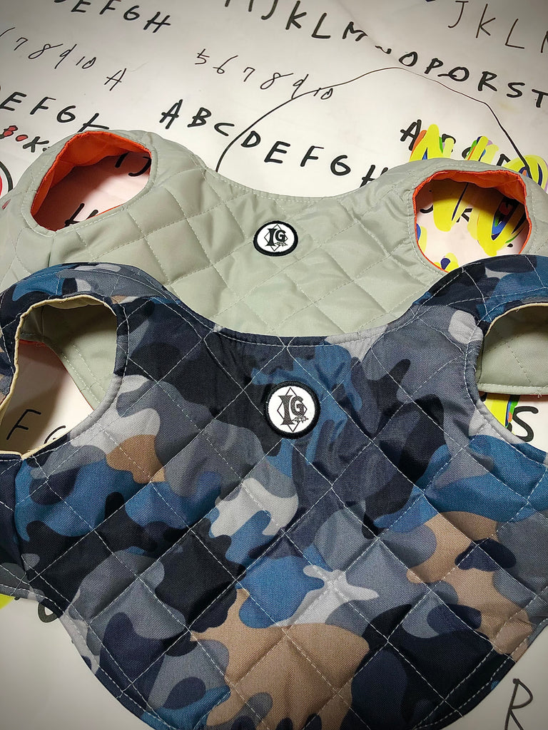 "Paradigm" VEST No.2