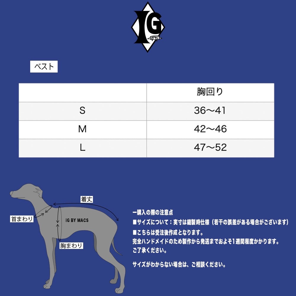 "Paradigm" VEST No.2