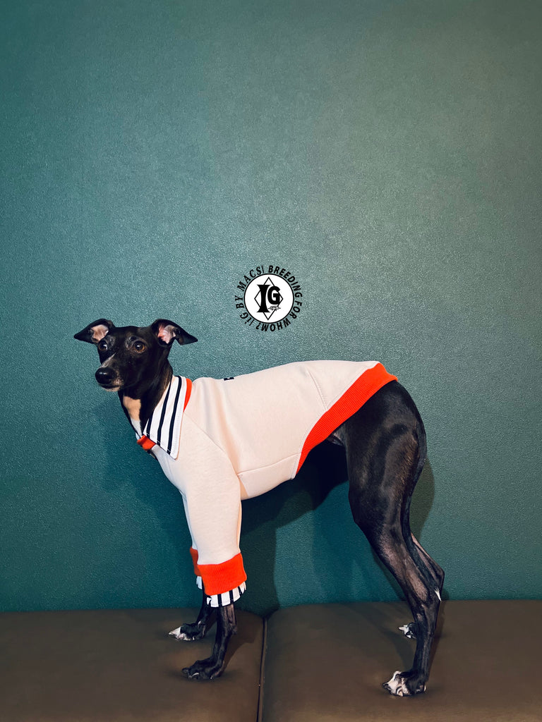 "The Night Blossom" Shirt Layered pullover -Sakura pink