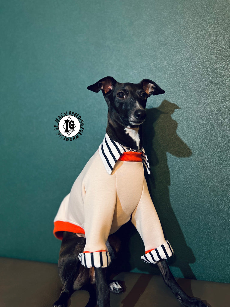 "The Night Blossom" Shirt Layered pullover -Sakura pink