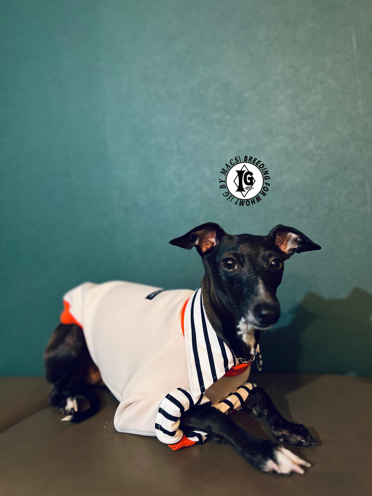 "The Night Blossom" Shirt Layered pullover -Sakura pink