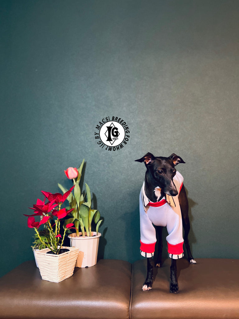 "The Night Blossom" Shirt Layered Pullover-Sky Blue