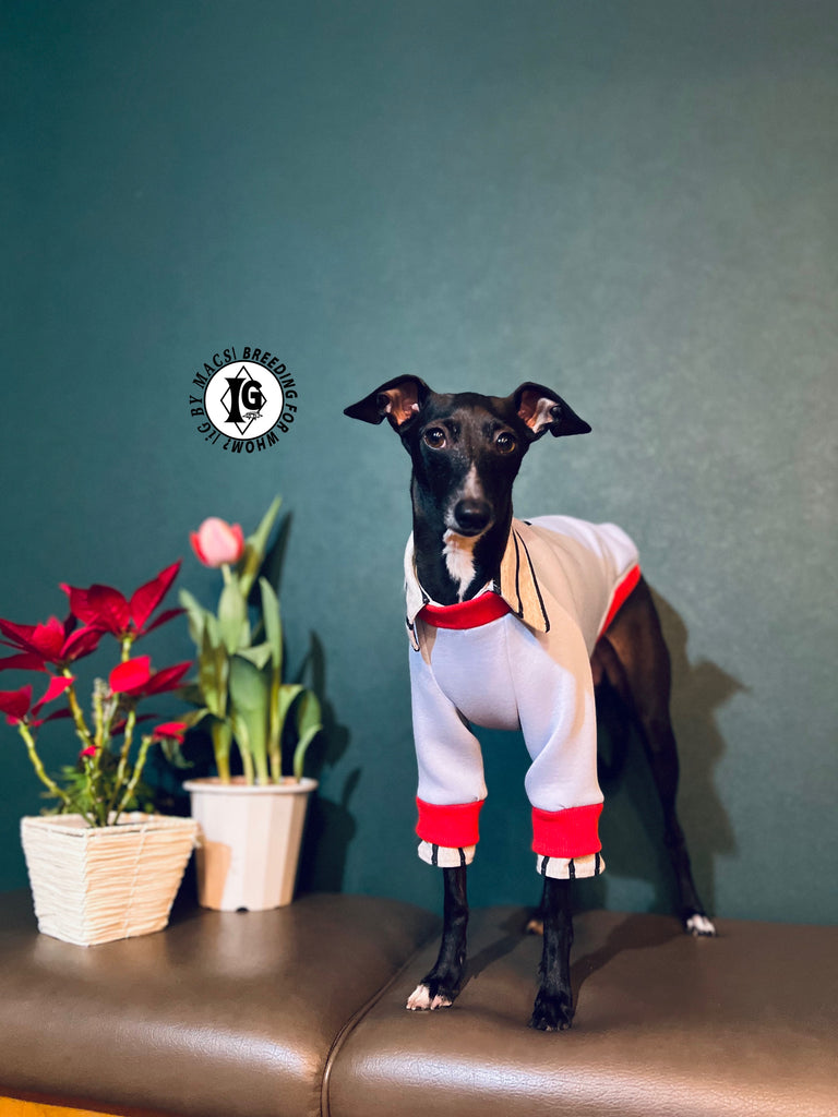 "The Night Blossom" Shirt Layered Pullover-Sky Blue