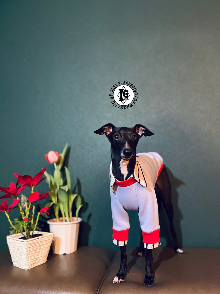 "The Night Blossom" Shirt Layered Pullover-Sky Blue