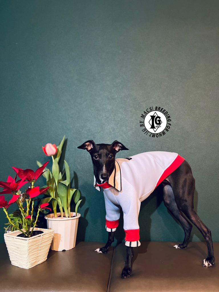 "The Night Blossom" Shirt Layered Pullover-Sky Blue