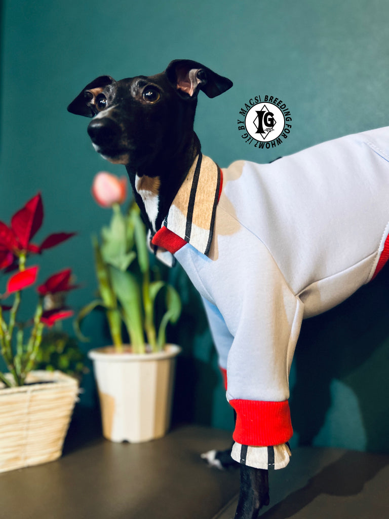 "The Night Blossom" Shirt Layered Pullover-Sky Blue