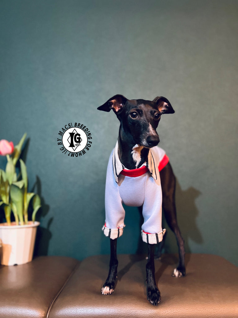 "The Night Blossom" Shirt Layered Pullover-Sky Blue