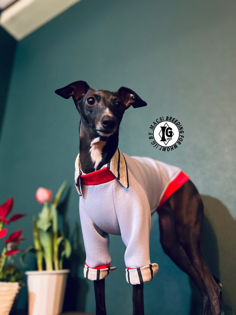 "The Night Blossom" Shirt Layered Pullover-Sky Blue