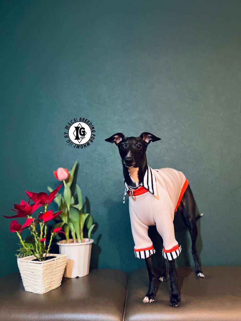 "The Night Blossom" Shirt Layered pullover -Sakura pink