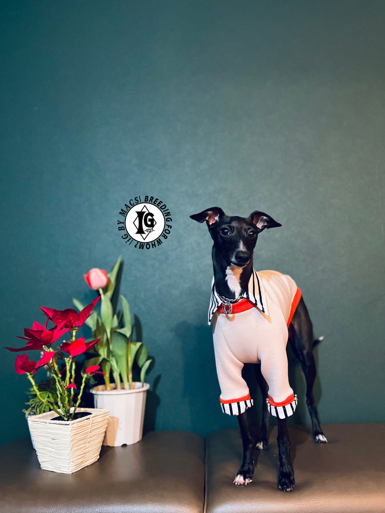 "The Night Blossom" Shirt Layered pullover -Sakura pink