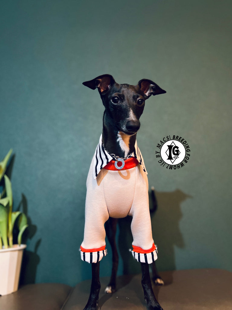 "The Night Blossom" Shirt Layered pullover -Sakura pink