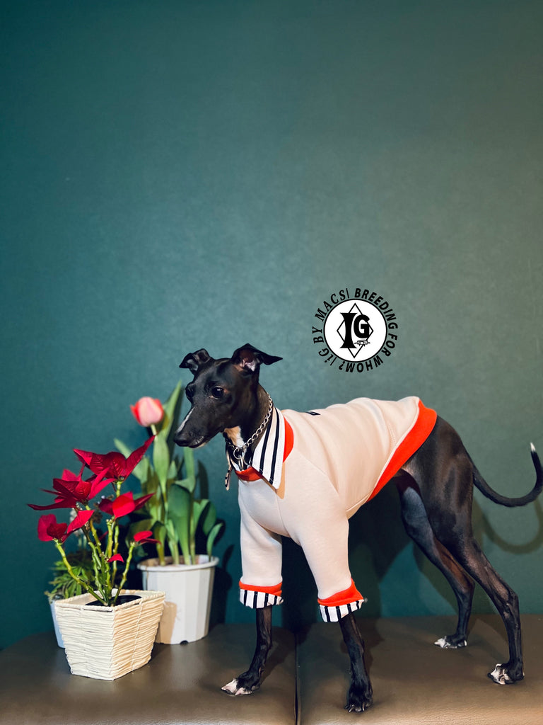 "The Night Blossom" Shirt Layered pullover -Sakura pink