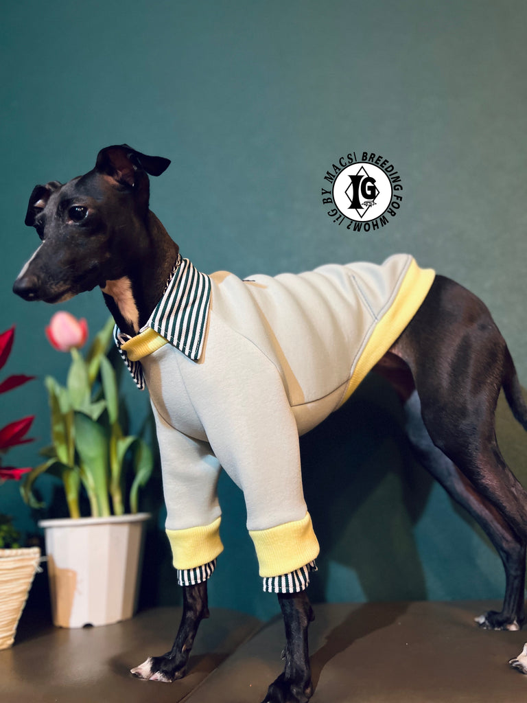 "The Night Blossom" Shirt Layered Pullover- Pastel Green