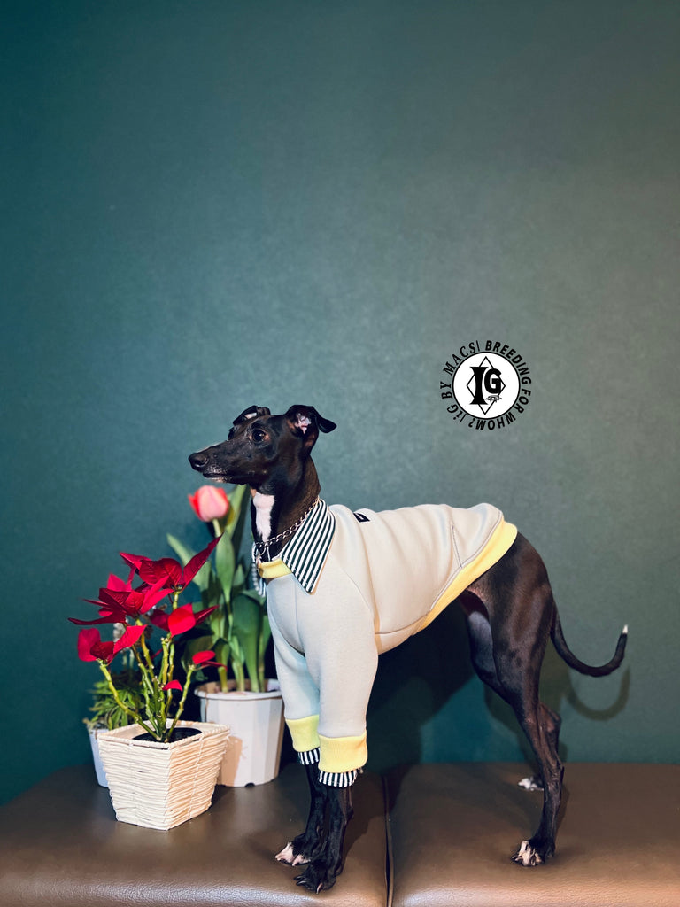 "The Night Blossom" Shirt Layered Pullover- Pastel Green