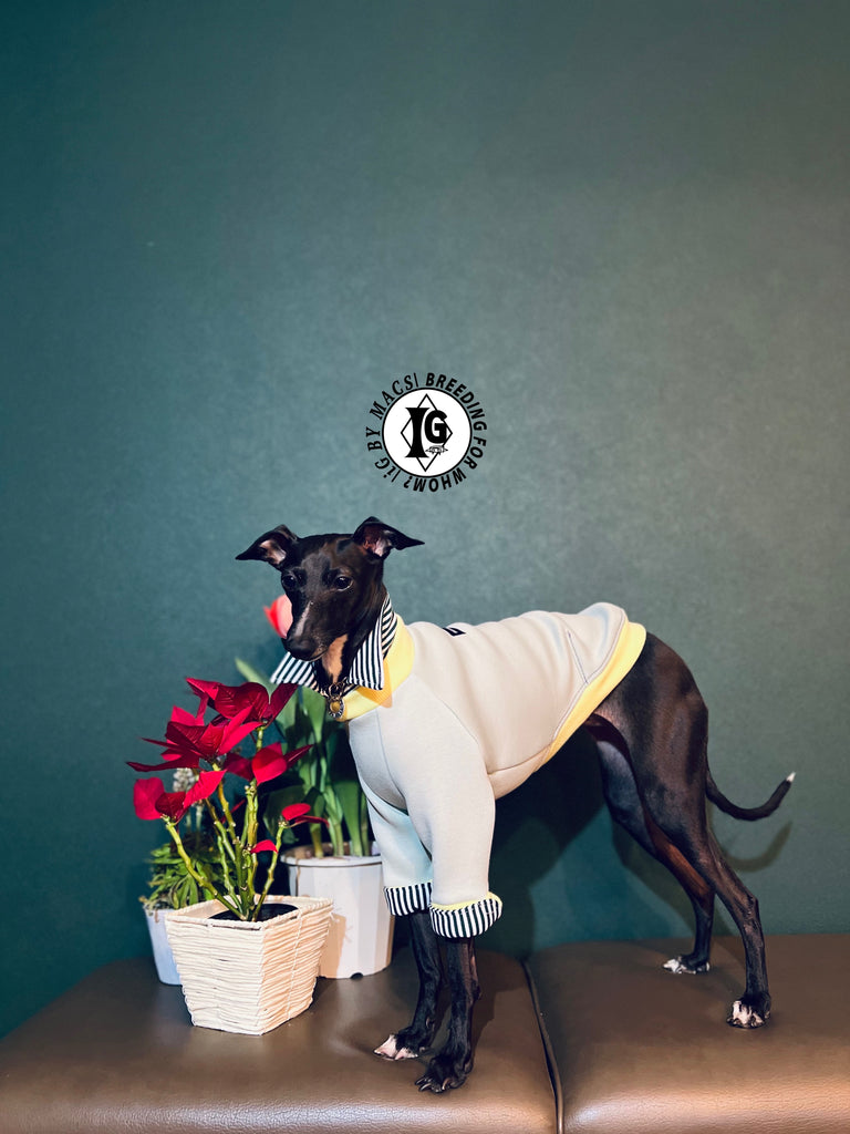 "The Night Blossom" Shirt Layered Pullover- Pastel Green