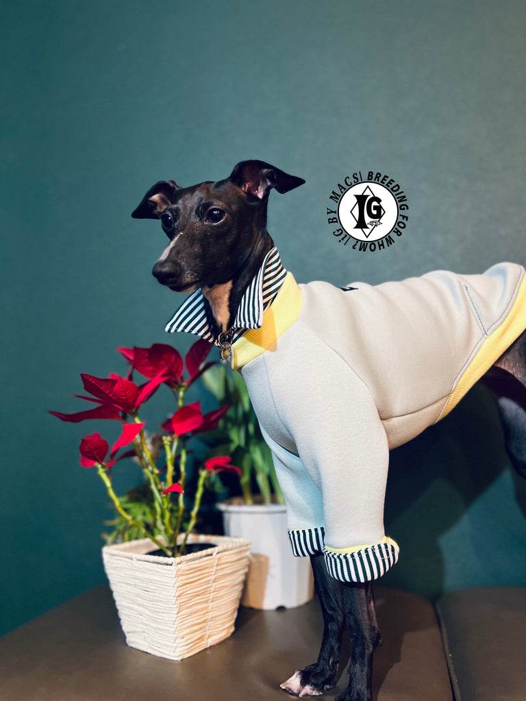 "The Night Blossom" Shirt Layered Pullover- Pastel Green