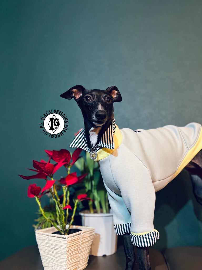 "The Night Blossom" Shirt Layered Pullover- Pastel Green