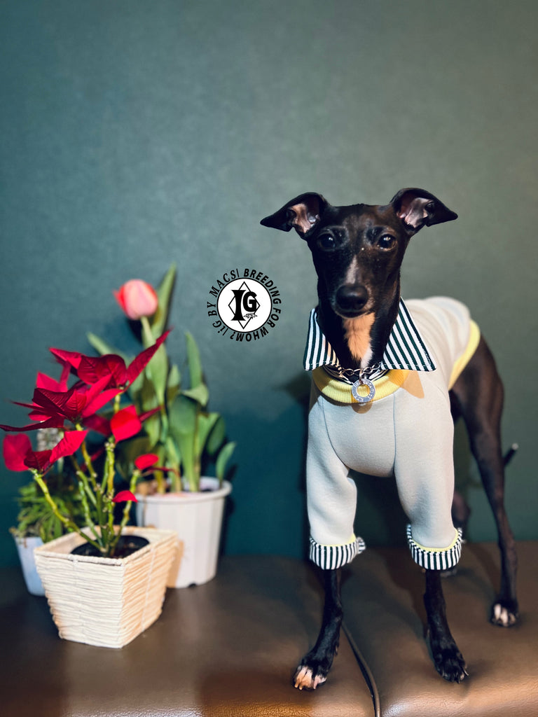 "The Night Blossom" Shirt Layered Pullover- Pastel Green