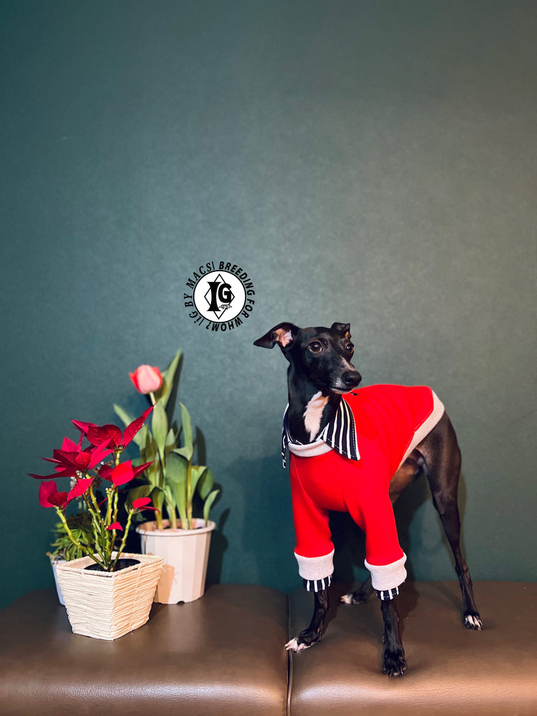 "The Night Blossom" Shirt Layered Pullover- Red