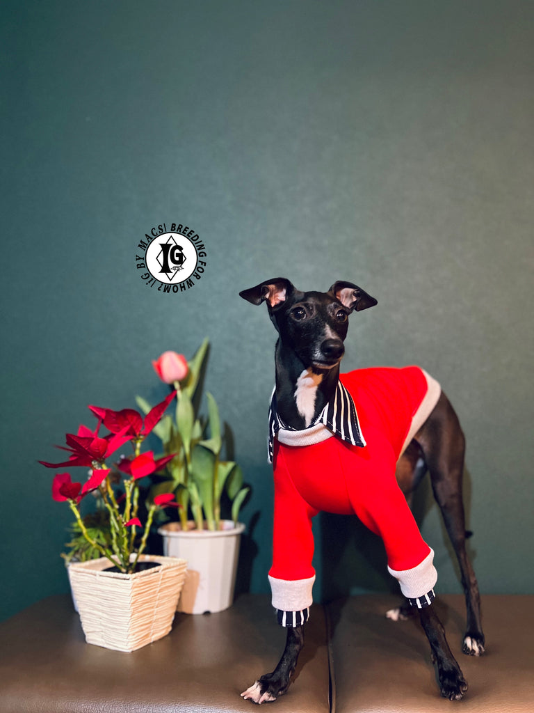 "The Night Blossom" Shirt Layered Pullover- Red