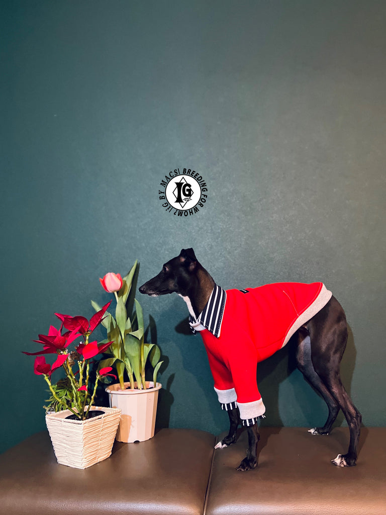 "The Night Blossom" Shirt Layered Pullover- Red