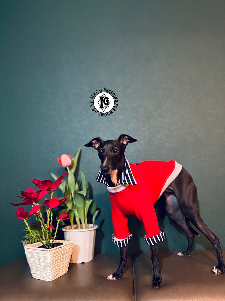 "The Night Blossom" Shirt Layered Pullover- Red