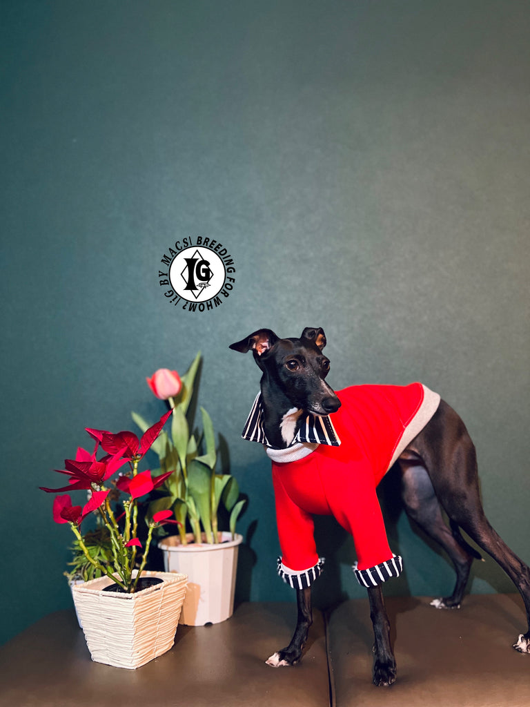 "The Night Blossom" Shirt Layered Pullover- Red