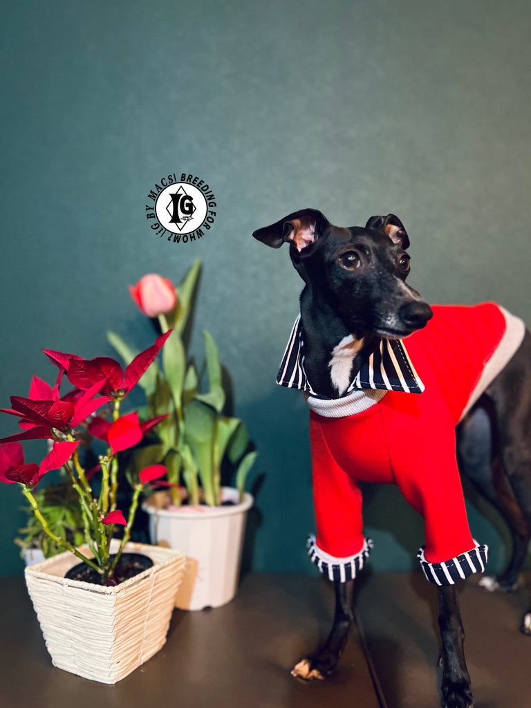 "The Night Blossom" Shirt Layered Pullover- Red